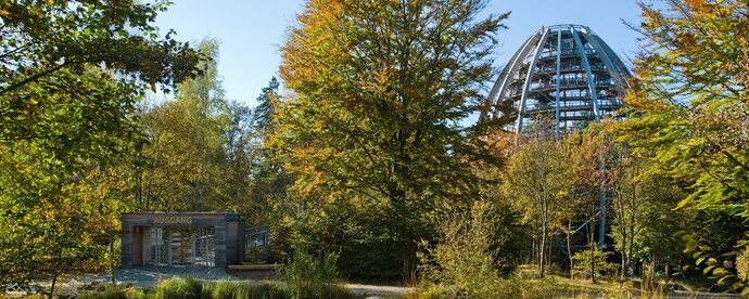 Der Baumwipfelpfad im Nationalpark Bayerischer Wald mit viel Bäumen